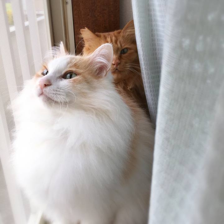 E2334b00 5dc7 4546 aa71 b95959aef9a0