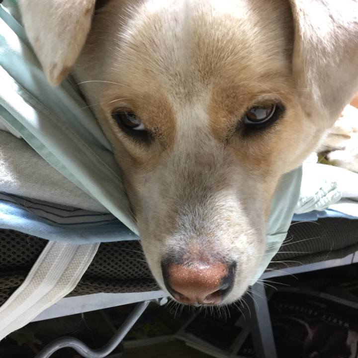 E234e1b3 7c79 4bdb a128 0b75e721b202