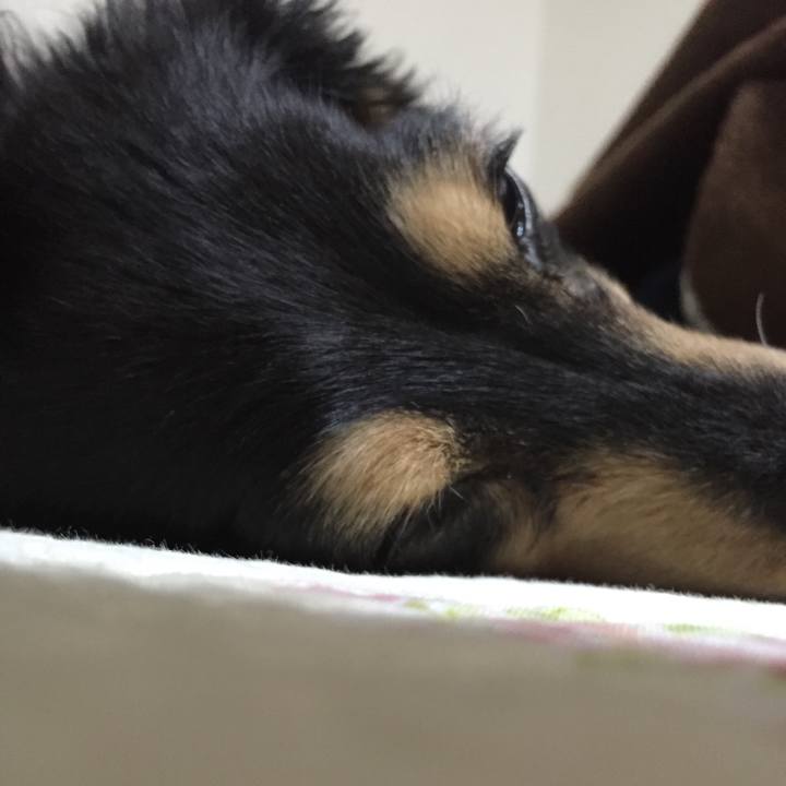 E236b96e d258 493a 9726 9822c39cb7ba