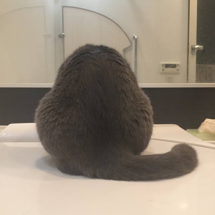 E236dbe4 c8e3 4786 ac4d 935599756463