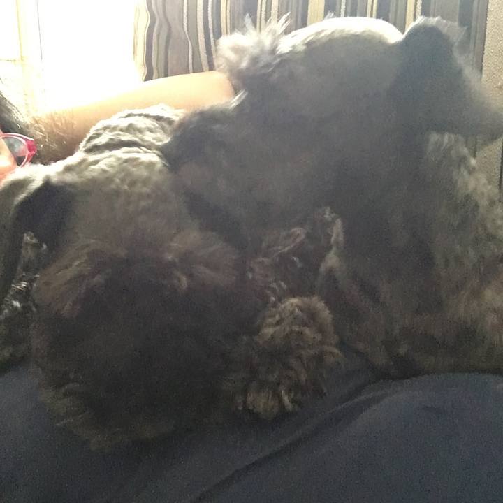 E2372835 9d1f 4107 93f0 8eb8422d8781