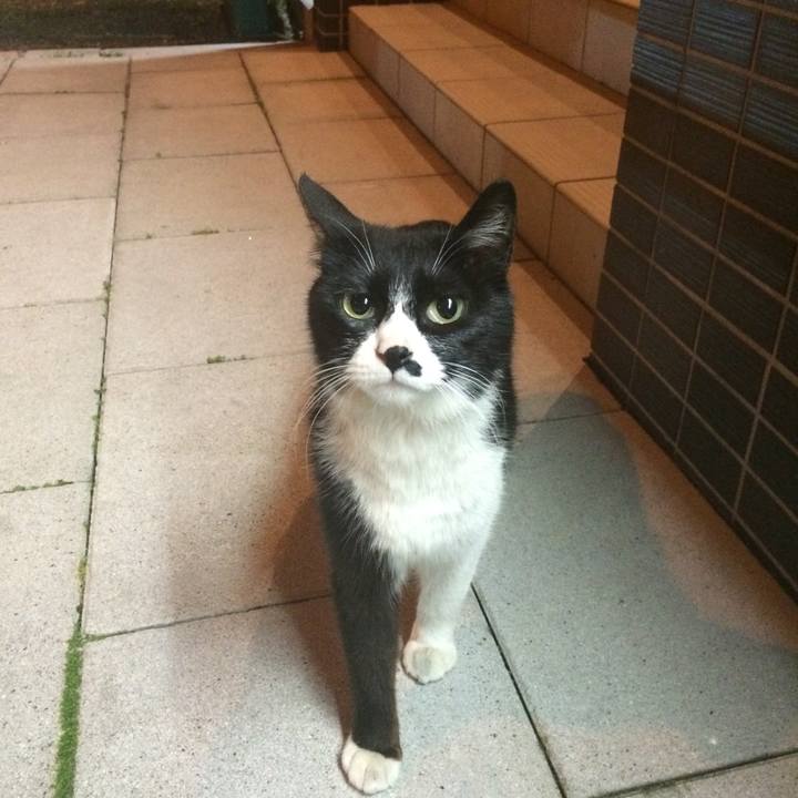 E237eff1 bcf2 4cfb ba9e c9090ea5bed7