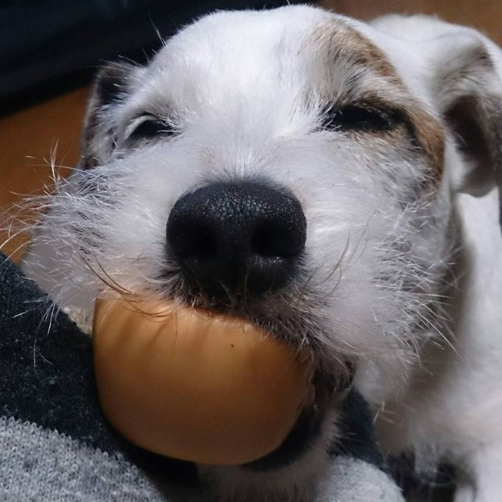 E23804e7 9a9d 4a81 a9b9 32200030005e