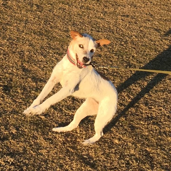 E238582f 125b 469a 9ac0 f9d4e7e03069