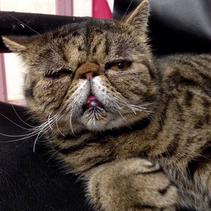 E238601a dbd8 45ac 9499 c8839378eac2