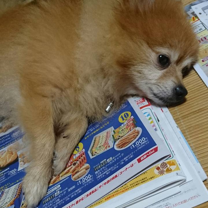 E238adef 0a88 472c a439 d02b78c97b1a