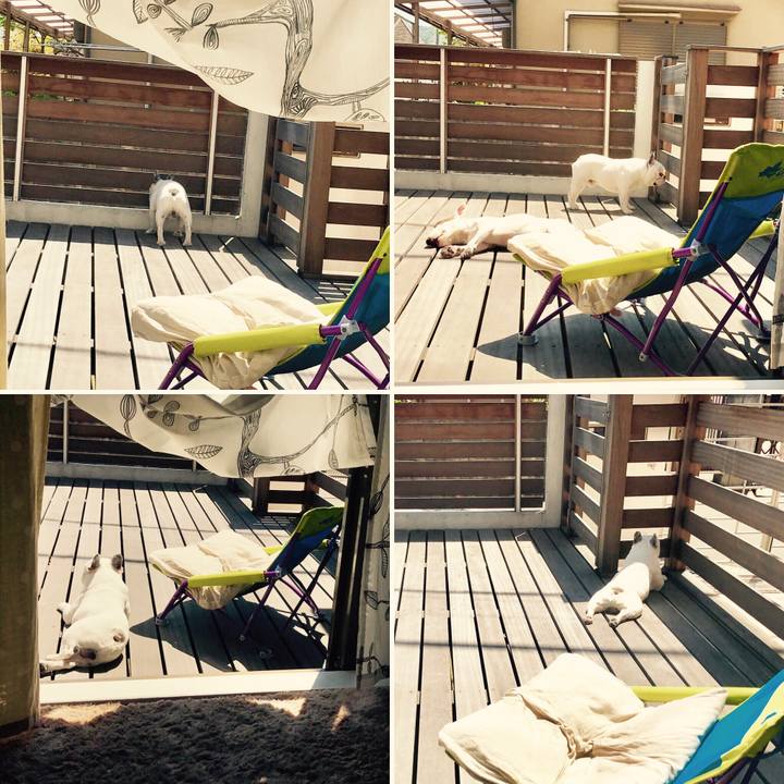 E238f1b1 59a8 4356 90bb f4d391380e86