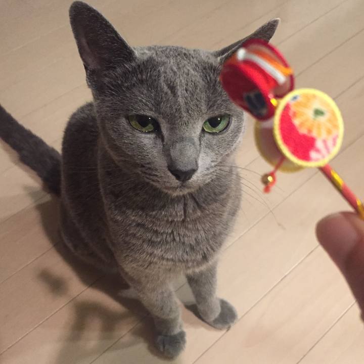 E2392c27 1123 4d97 8403 12689df468ac