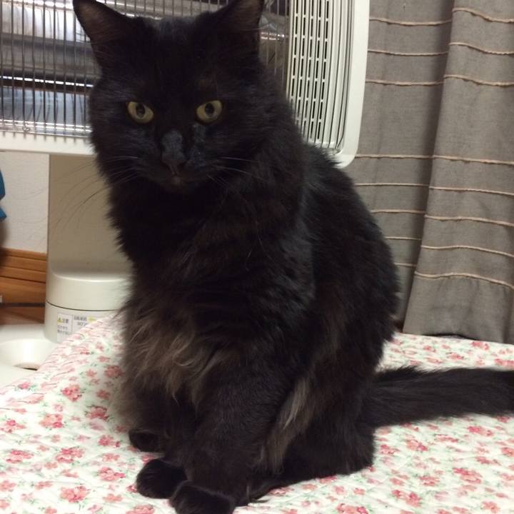 E23a4229 7f56 46b0 8472 17cae4bb4f5b