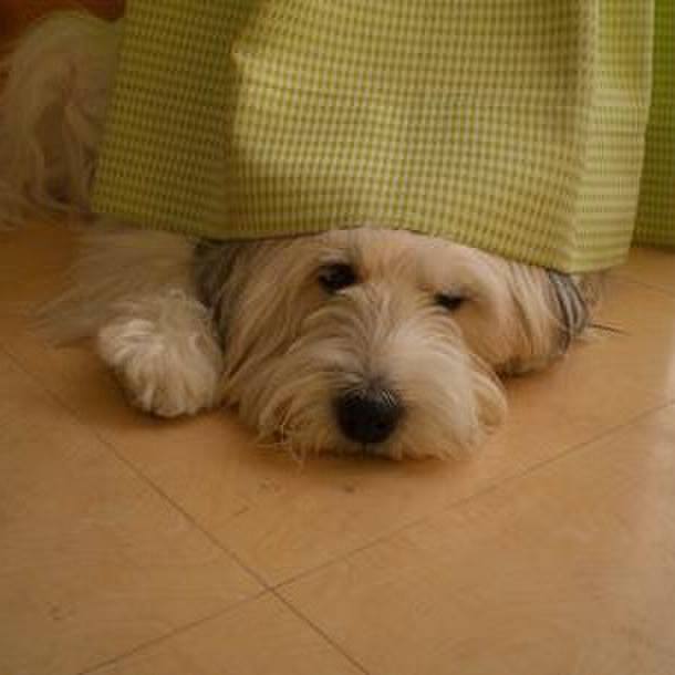 E23a8e2b d6a4 433e a4e4 189c4f39f178