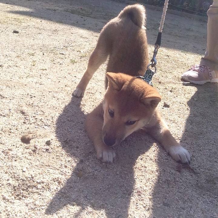 E23b6567 6e9d 400a a8c5 f054a91d2d8c