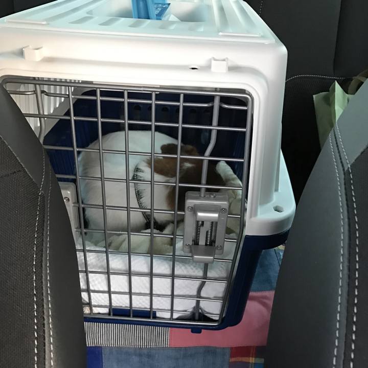 E23d4b7d 6501 41a5 8f4c 72b063b694a0