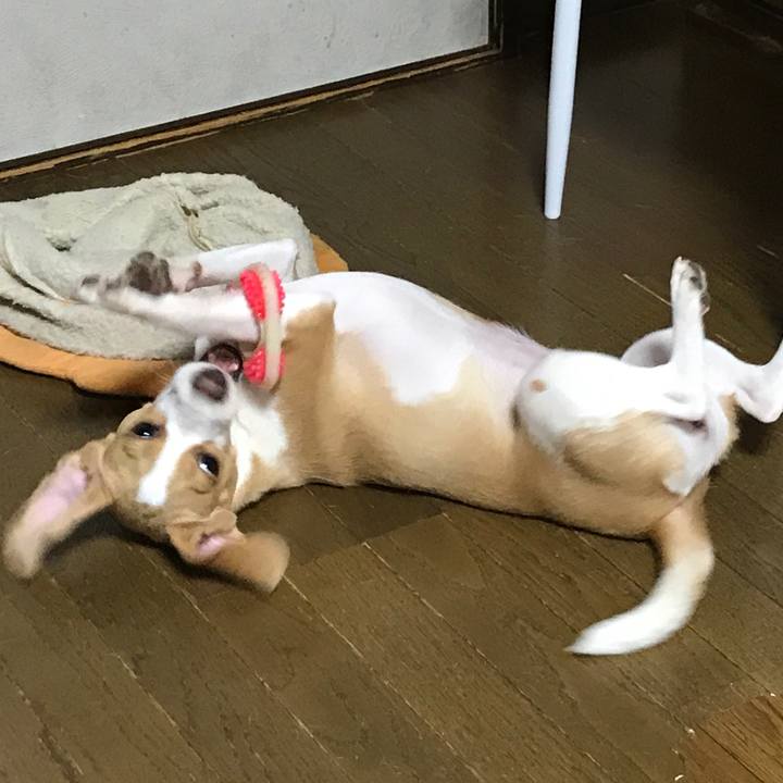 E23d6651 389a 4769 a171 3beaf0e8f91c