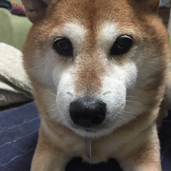 E23d91a0 ca15 424c 9da7 8e6d4bf0d766