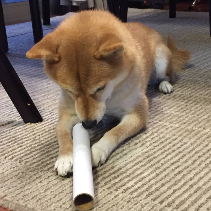 E23dc82f 5855 4e1e 870a eab7acff7587