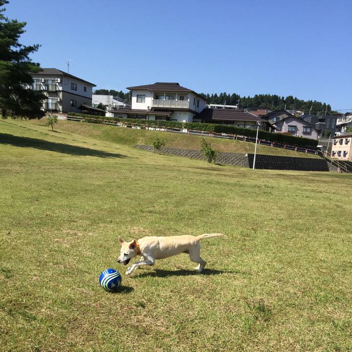 E23efaeb b4af 456c 81cf 45d346cfd44b