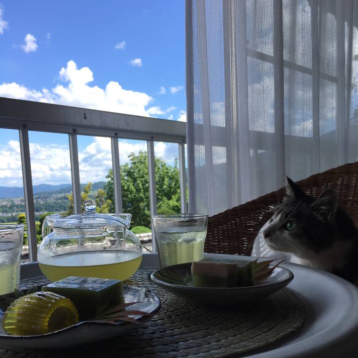 E23f310b d35f 4f6c b90d da9a7b32b8fa