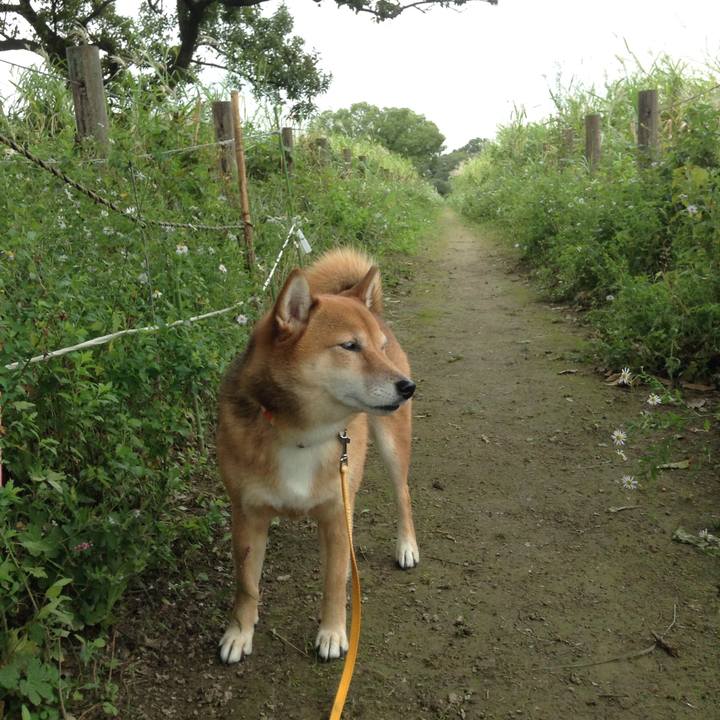 E23f9ae1 679f 4389 a81e f9b4ff079ed2