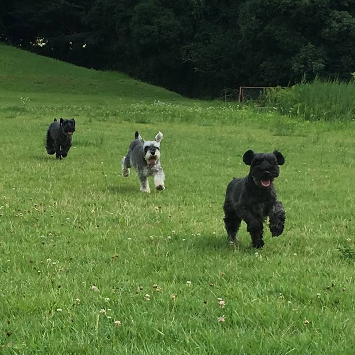 E23fba6b 81e3 4a60 87fa c77ef4b7df13