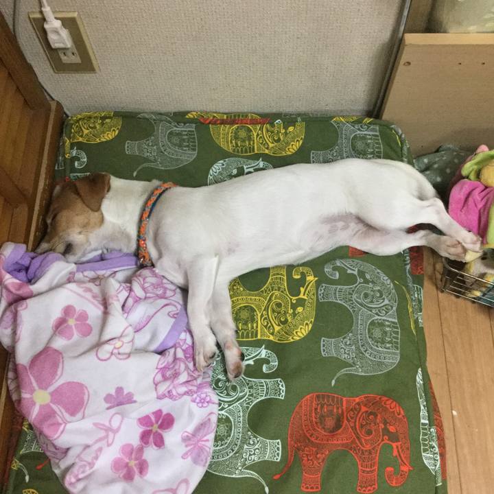 E23fea02 cc77 4192 a7ad b7bab98ae7f6