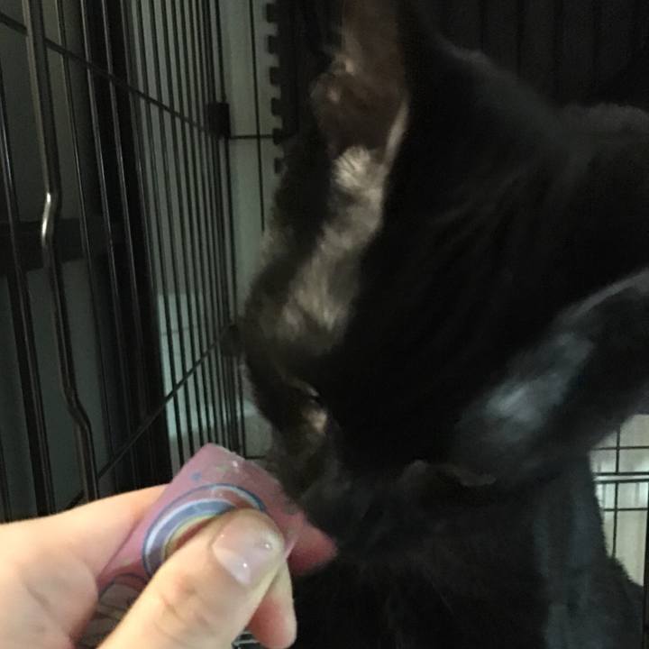 E2401c74 c321 4595 bd9a eab34e718a2e