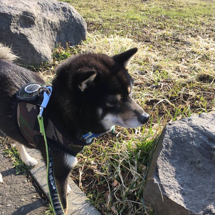 E24073a9 7f34 4552 bce8 39bd18884a13