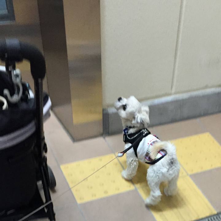 E241241b 1c97 4836 8142 655fbcd06a68