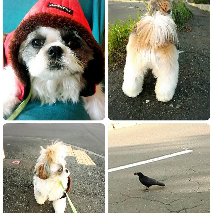 E2426ee6 c28e 4364 9e8b d614bf150741