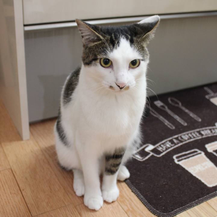 E2427ecb 9517 41c6 a5b2 269a41220ce0