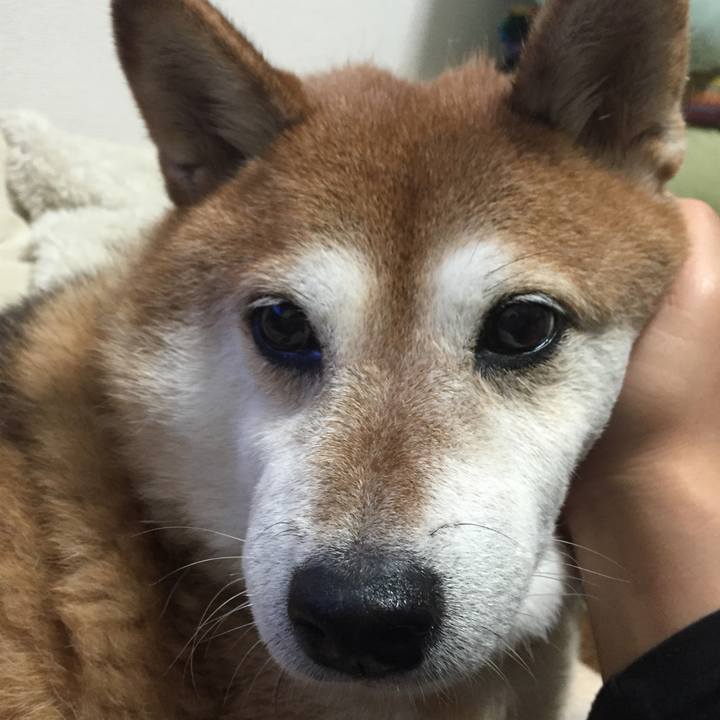 E242e4b4 e9de 41cc a74c 0c89edb13a7b