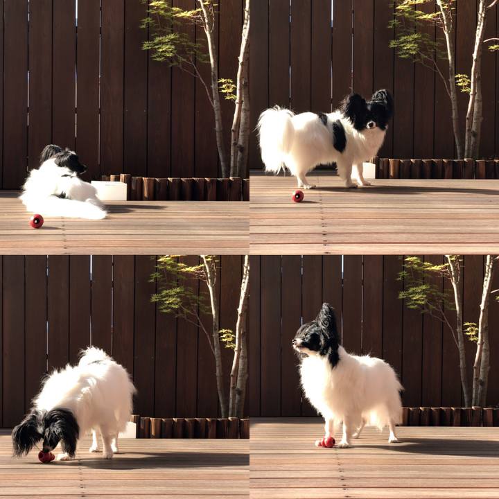 E2432876 1d43 4b74 b13f 08627337ecc8