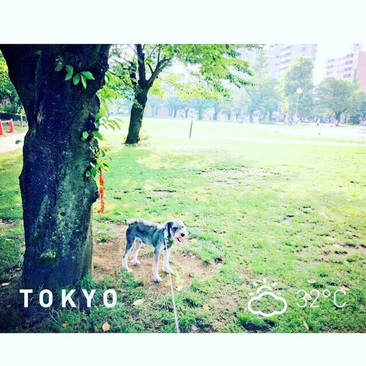 E24361e2 e194 4bce 94c1 0fa10538cd4d