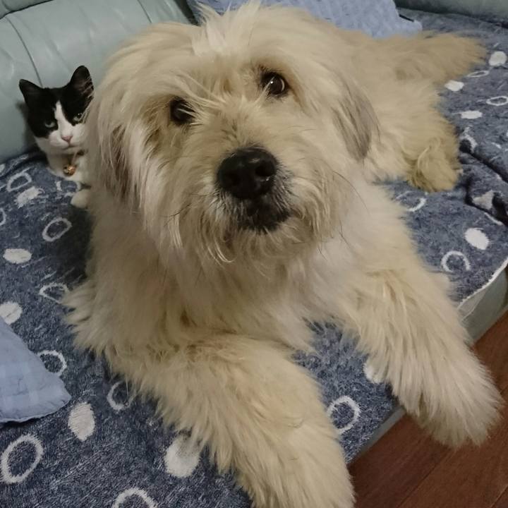 E2436feb e3ca 43d5 a580 ebd15a77e97d