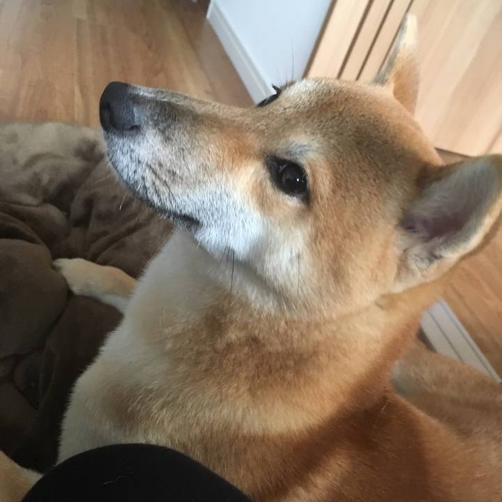 E2442617 45fd 42b2 83e5 7d00f9fd123f