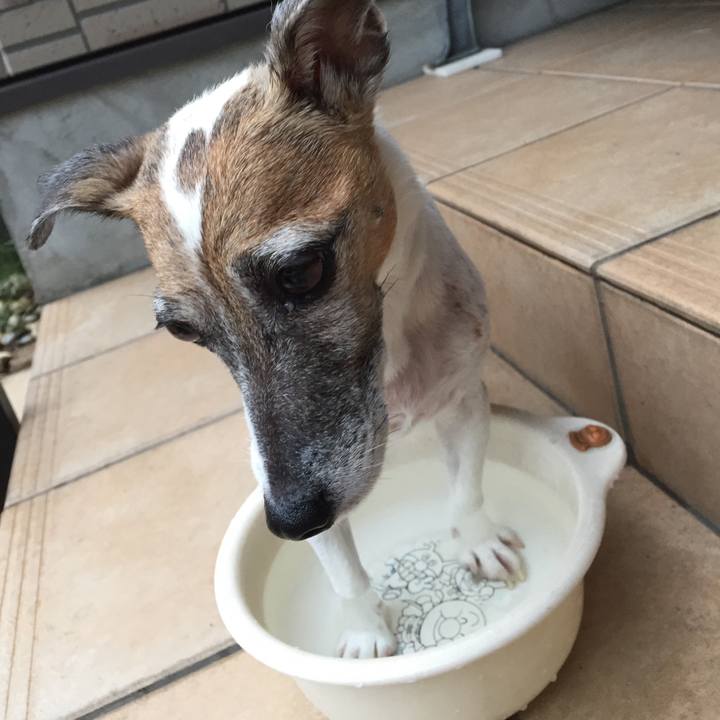 E244a935 a2f4 435a 8deb cac5fab8de0d