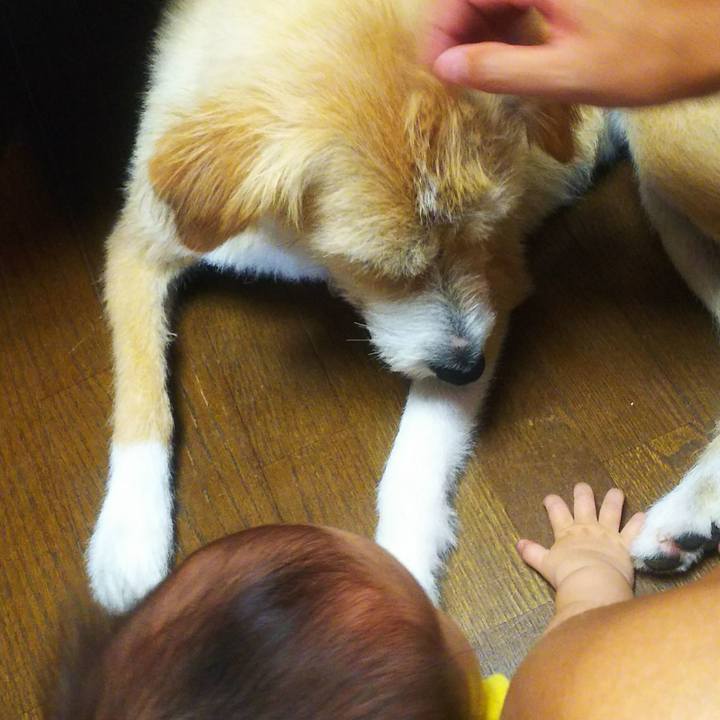 E2451610 c4a7 476f 9e9f 1002f11ce612