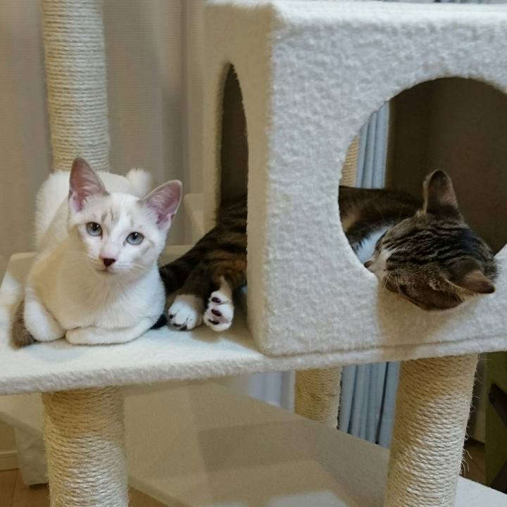 E2453ea4 230b 4ec4 83ec 63fd3638a975