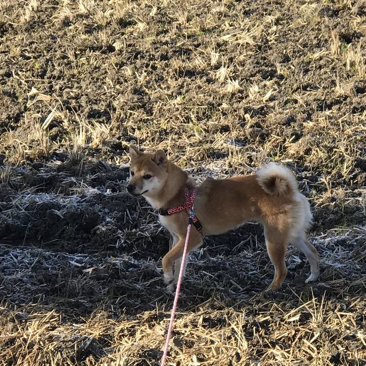 E245aef4 cbc8 49d9 b4af 78a04c4dd166