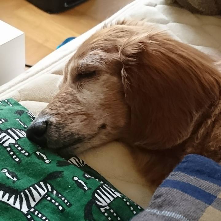 E245c4a1 6920 49c9 88e5 2506fa3180ea