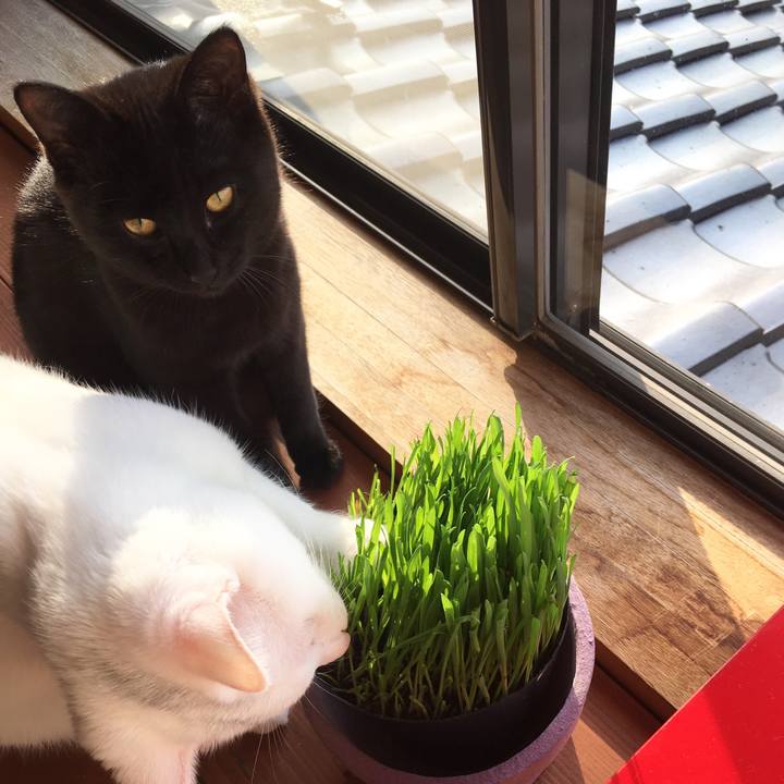 E245c563 1935 469a bc96 47a92e96eb78