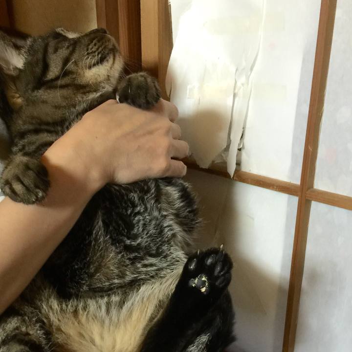 E2460eed 99c5 4e4d b11c b612727a67e2