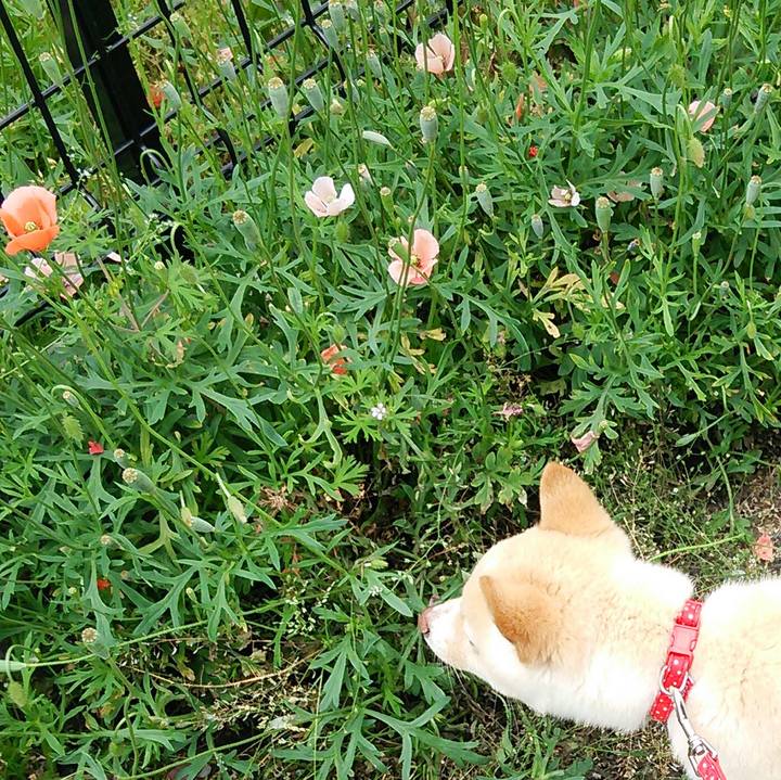 E24631be dbdc 4366 b317 5e327c02e8e5