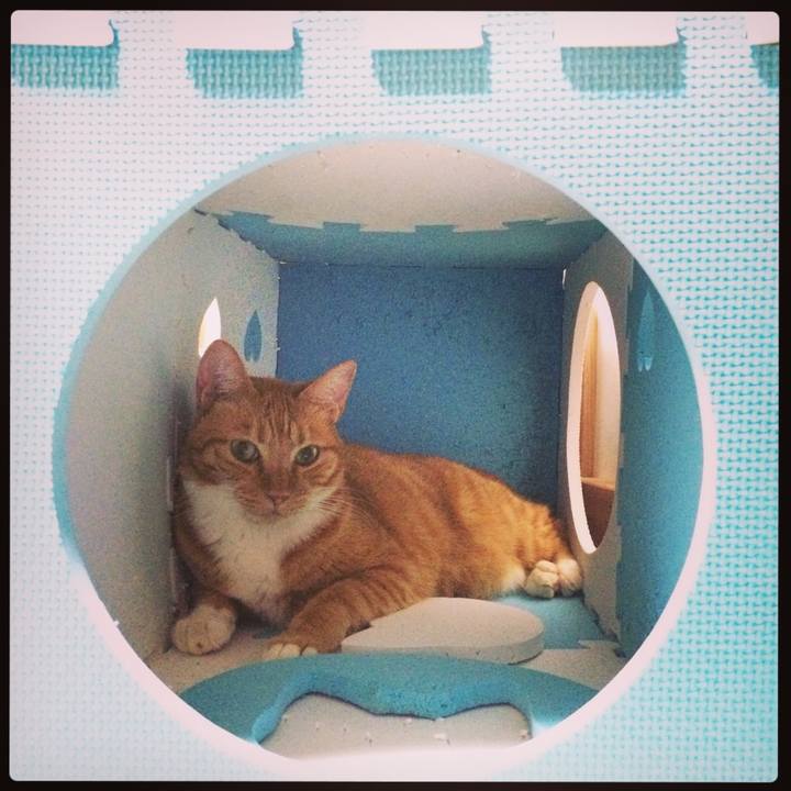 E24665ef 8e91 4a0f 978b 5faabb32b9f5