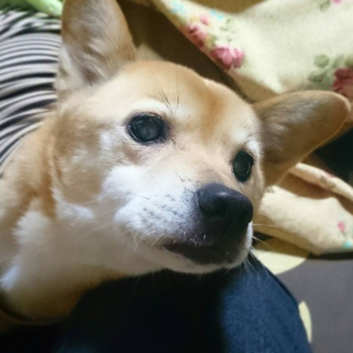 E2472164 7d3a 4ef5 87ce 2c5426ca0034