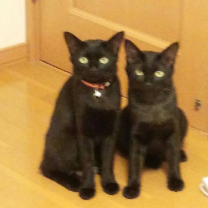 E2473c4d 827e 49b7 b298 850b6e740b26