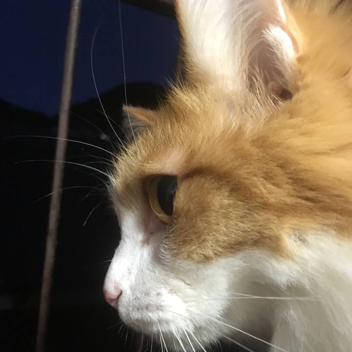 E247f84f 60f3 4c59 b39f c5da24d205db