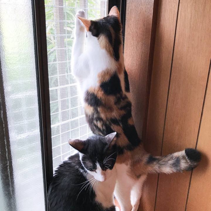 E248073d 5a44 48fd 84c7 7a672f77c568