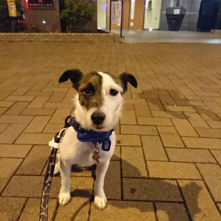 E2497e27 b7cb 417b a3a2 4596d32348c7