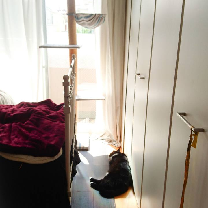 E249a356 c62f 42a4 ad43 c6a8d8ff4eb0