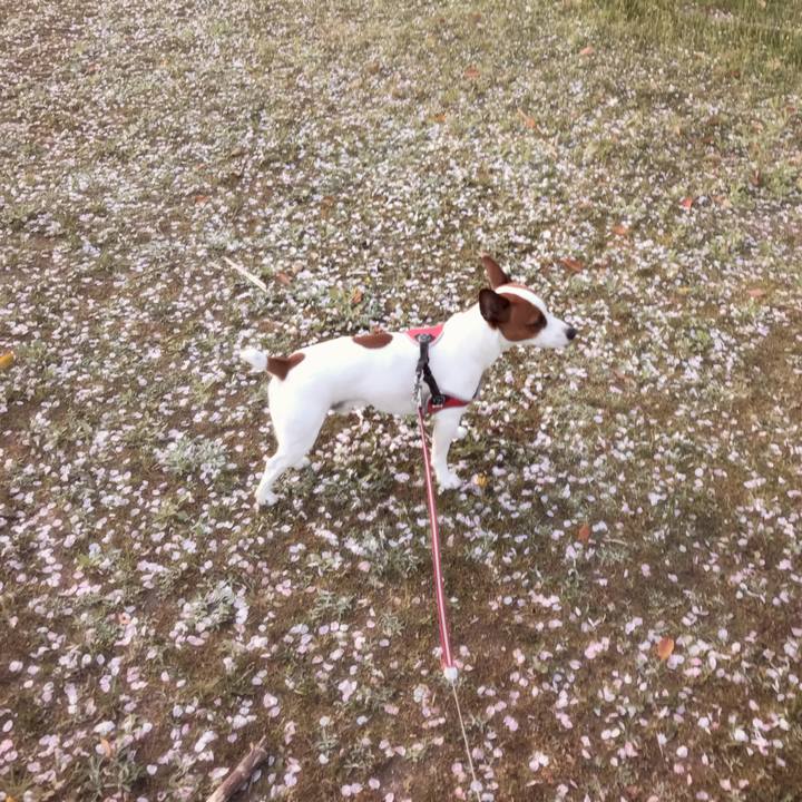 E249b661 81a3 4a6a 9e57 c4284dfaa96a